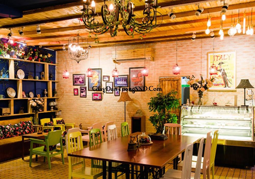 Sắc đỏ của giấy dán tường kết hợp với đèn và bàn ghế mang đến sự âm cúng và kín đáo cho không gian quán cafe, trà chanh cần sự yên tĩnh