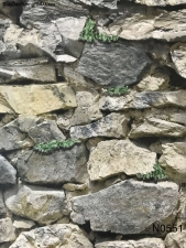 Giấy dán tường Ý giả đá thô mã N51